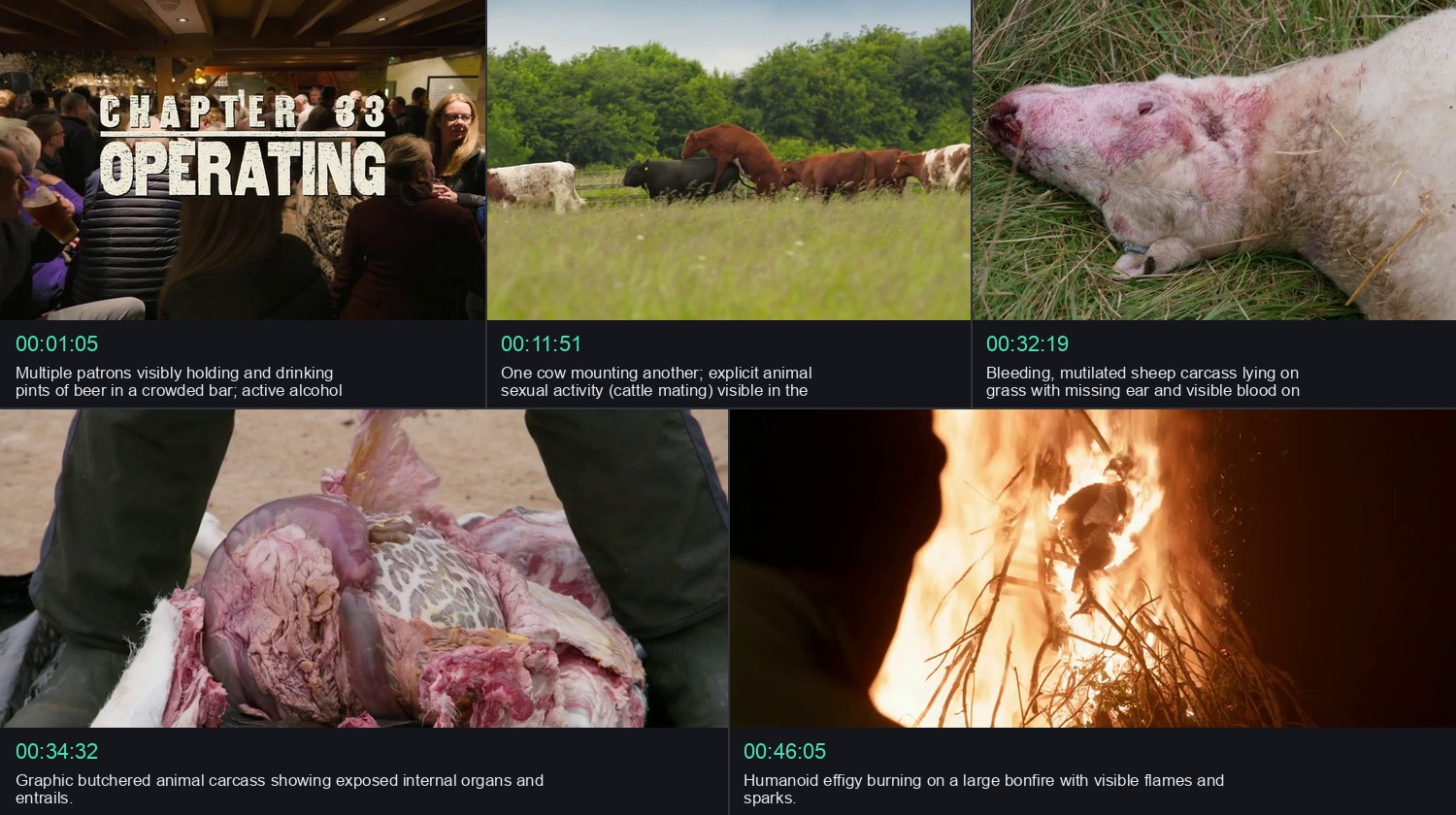 Decisive scenes supporting the Mature assessment.