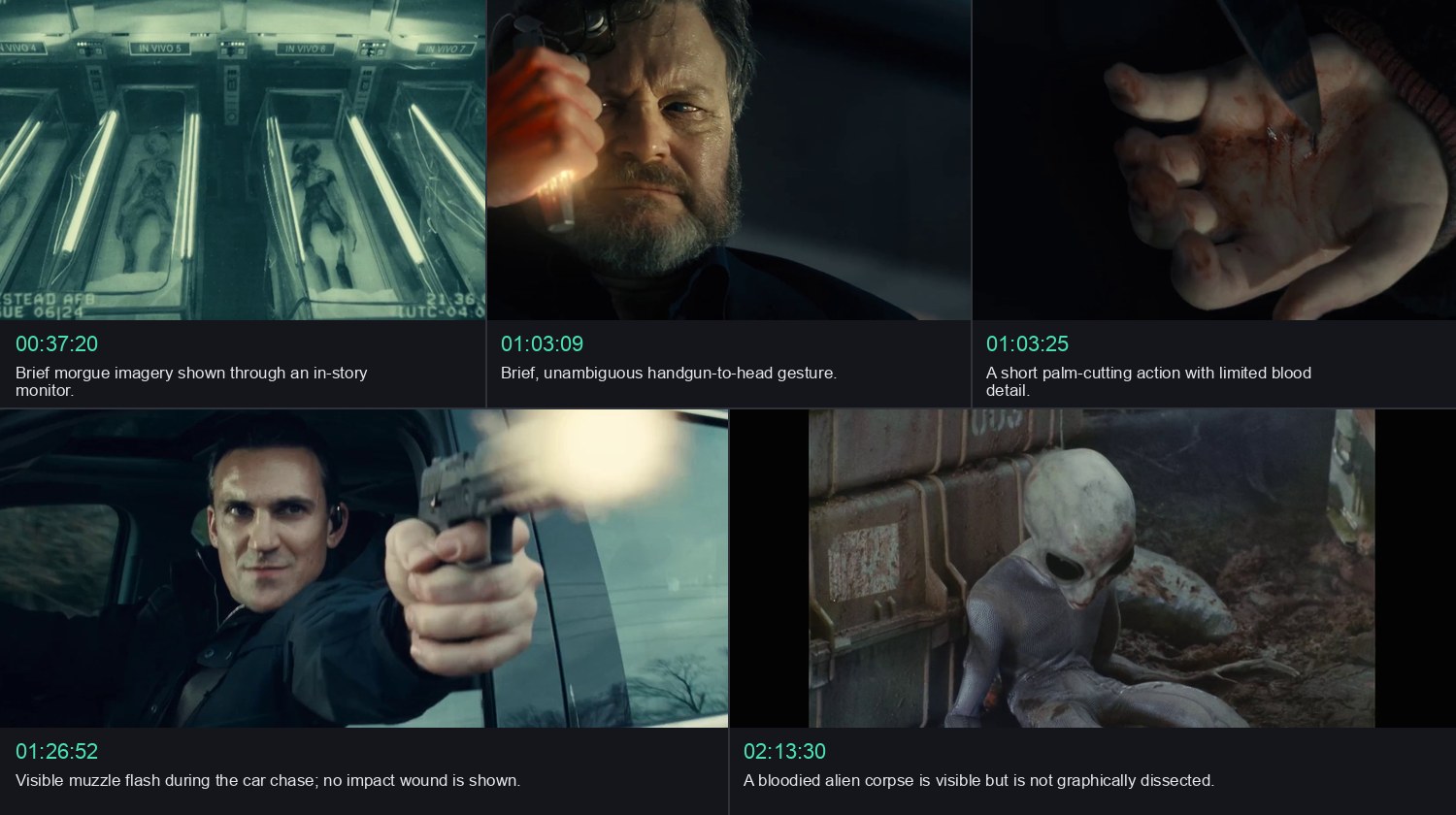 Five scenes that most clearly explain the Parental Guidance assessment.